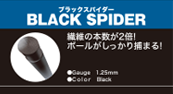 ブラックスパイダー